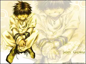 gold, Saiyuki, son goku