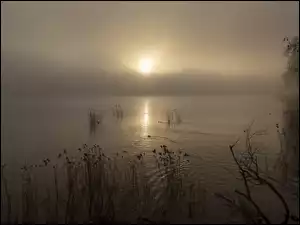 Poranek nad mglistym jeziorem