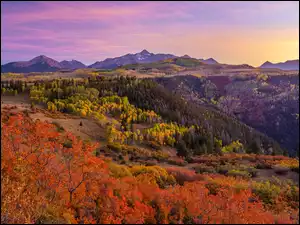 Jesienny krajobraz na tle góry Wilson Peak