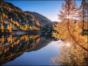 Modrzewie, Włochy, Jezioro, Jesień, Lombardia, Drzewa, Odbicie, Góry