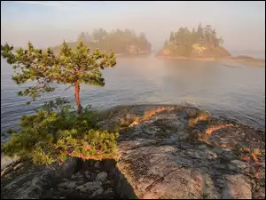 Drzewa na skałach i wysepki we mgle na Jeziorze Ładoga