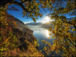 Wschód słońca, Drzewa, Thunersee, Szwajcaria, Mgła, Jesień, Alpy, Jezioro, Góry, Jezioro, Lake Thun, Kanton Berno