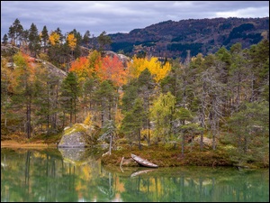 Las, Jesień, Łódka, Jezioro, Drzewa