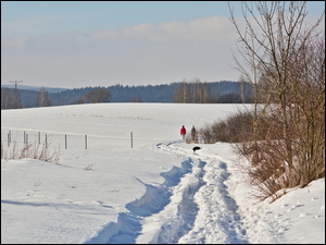 Spacer zimową porą przez pola