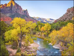 Drzewa, Stan Utah, Kamienie, Virgin River, Jesień, Park Narodowy Zion, Góry Watchman, Stany Zjednoczone, Rzeka