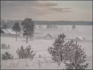 Domy, Wieś, Śnieg, Zima, Drzewa