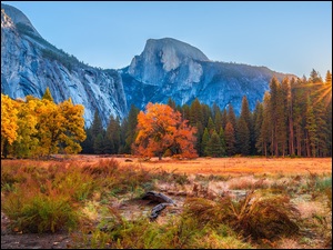 Stany Zjednoczone, Jesień, Promienie słońca, Las, Góry, Park Narodowy Yosemite, Half Dome, Góra, Drzewa, Kalifornia