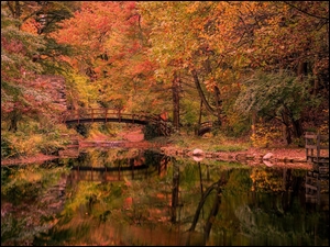 Mostek nad rzeką w ogrodzie jesienią