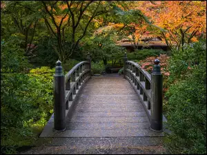 Mostek w ogrodzie japońskim