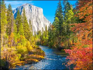 Kalifornia, Park Narodowy Yosemite, Góry, Stany Zjednoczone, Drzewa, Rzeka Merced, Jesień