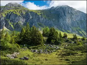 Dolina, Góry Churfirsten, Skały, Szwajcaria, Drzewa, Kanton Sankt Gallen