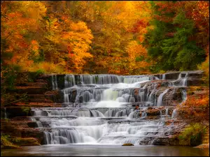 Drzewa, Las, Kolorowe, Jesień, Wodospad