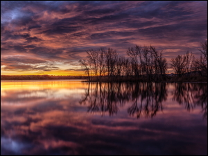Lake Chatfield, Jezioro, Drzewa, Stany Zjednoczone, Wschód słońca, Kolorado