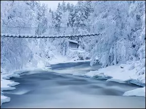 Śnieg, Zima, Drzewa, Most, Las, Rzeka