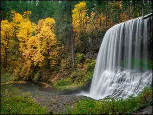 Wodospady na skale w Parku Stanowym Silver Falls State Park w Stanach Zjednoczonych