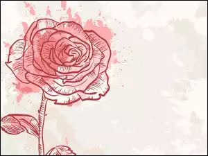 Tło, Róża, Grafika 2D, Jasne