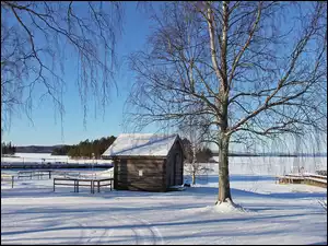 Szopa pod drzewami nad zasypanym śniegiem jeziorze