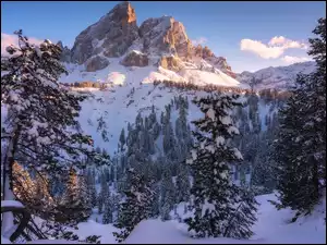 Góry, Dolomity, Włochy, Zima, Drzewa, Sass de Putia, Góra Peitlerkofel