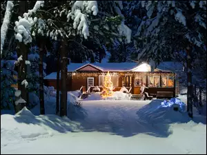 Boże Narodzenie, Śnieg, Choinka, Oświetlony, Dom, Las, Drzewa, Zima, Noc