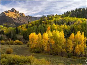 Jesień, Góry, Lasy, Kolorado, San Juan Mountains, Drzewa, Stany Zjednoczone, Góra Mount Sneffels