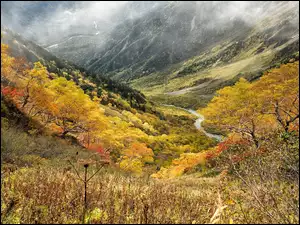 Mgła unosząca się nad górami i jesiennymi drzewami nad rzeką w dolinie