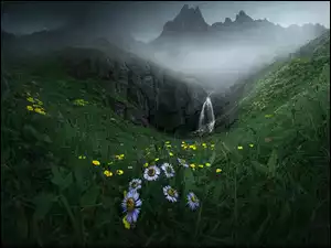 Kwiaty opodal wodospadu i góry we mgle