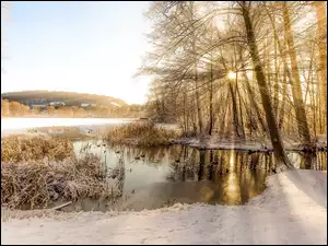Śnieg, Jezioro, Przebijające światło, Zima, Domy, Trawa, Drzewa