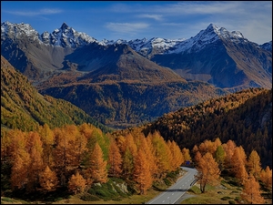 Passo del Bernina, Jesień, Drzewa, Kanton Gryzonia, Góry, Przełęcz, Szwajcaria, Droga