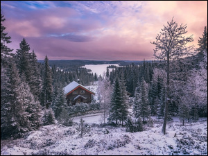 Dom posród drzew w zimowej scenerii