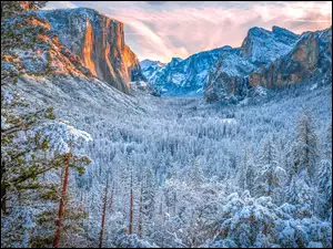 Skały, Zima, Drzewa, El Capitan, Park Narodowy Yosemite, Stany Zjednoczone, Yosemite Valley, Dolina, Góra, Ośnieżone