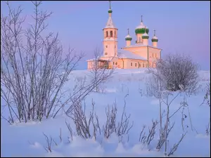 Krzewy w śniegu i cerkiew w tle