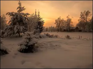 Ośnieżone świerki i ślady na śniegu w zachodzącym słońcu