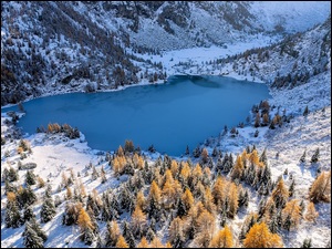 Lombardia, Góry, Zima, Włochy, Aviolo Lake, Jezioro, Drzewa