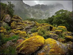 Omszałe głazy i kamienie w Dolinie Clinton Valley w Nowej Zelandii