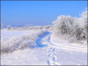 Polna droga w mroźny zimowy dzień