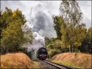 Przejeżdżający pociąg przez jesienny las