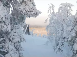 Drzewa obok domu na wzgórzu zasypane śniegiem