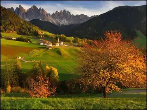 Włochy, Dolina Val di Funes, Drzewa, Domy, Dolomity, Góry, Santa Maddalena, Wieś, Kościół, Jesień