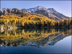 Jezioro, Jesień, Góry, Szwajcaria, Drzewa
