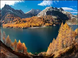 Jezioro, Jesień, Drzewa, Lago Devero, Góry, Modrzewie, Włochy, Alpy
