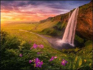 Wodospad Seljalandsfoss, Kwiaty, Islandia, Skały, Chmury, Zachód słońca, Roślinność