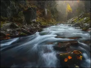 Rzeka, Jesień, Drzewa, Liście, Skały, Kamienie