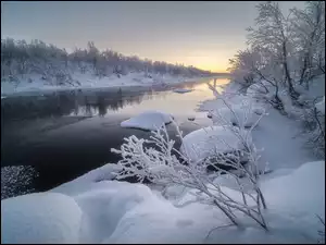 Rosja, Śnieg, Obwód murmański, Rzeka, Półwysep Kolski, Oszronione, Drzewa, Zima, Krzewy