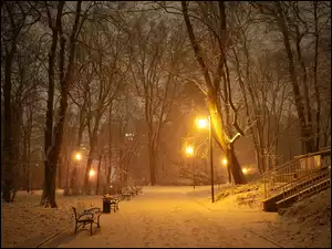Zapalone nocą latarnie w zimowym parku