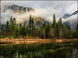 Drzewa, Góry, Stany Zjednoczone, Chmury, Kalifornia, Park Narodowy Yosemite, Rzeka