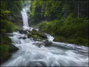 Wodospad na omszałej skale w lesie