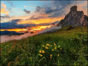 Góra Ra Gusela, Zachód słońca, Włochy, Góry, Kwiaty, Łąka, Mgła