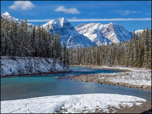 Park Narodowy Banff, Rzeka, Śnieg, Bow River, Prowincja, Las, Góry Skaliste, Kanada, Zima, Alberta, Drzewa