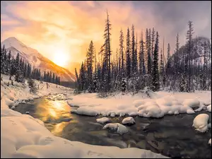 Zima, Drzewa, Rzeka, Góry, Promienie słońca