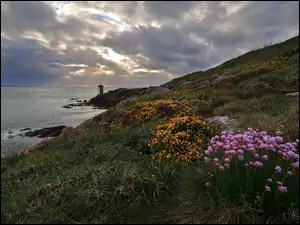 Kwiaty, Gmina Conquet, Wybrzeże, Latarnia morska, Kermorvan lighthouse, Morze, Wzgórze, Francja, Skały